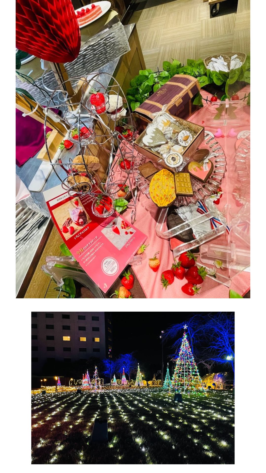 Luxury Wedding Dining with Exquisite Cuisine